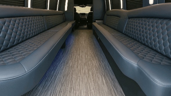 clovis 28 passenger party bus rental